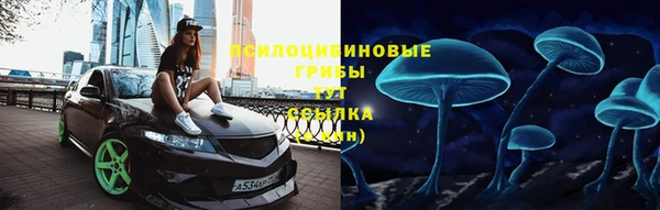 бошки Козельск