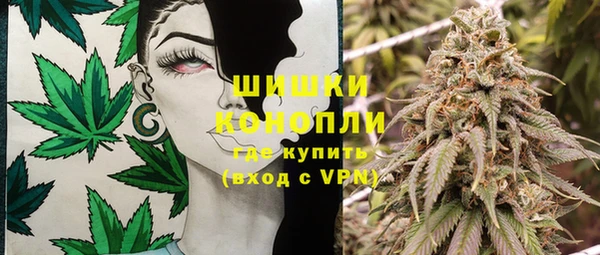 PSILOCYBIN Козловка