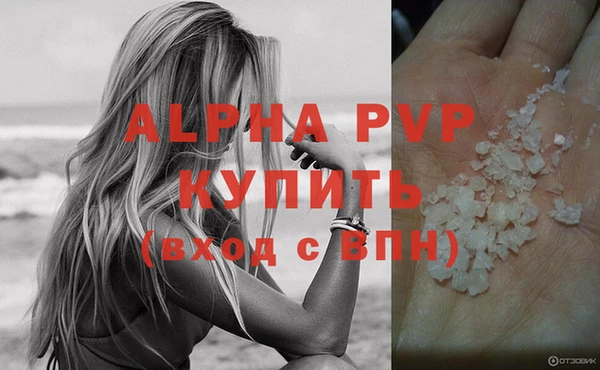 PSILOCYBIN Козловка