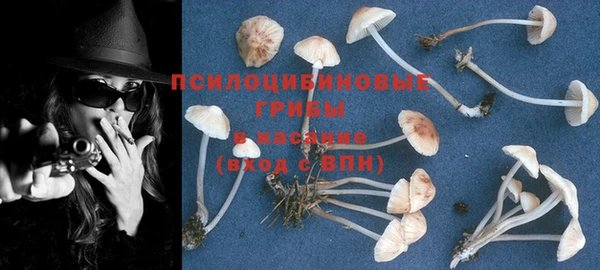 бошки Козельск